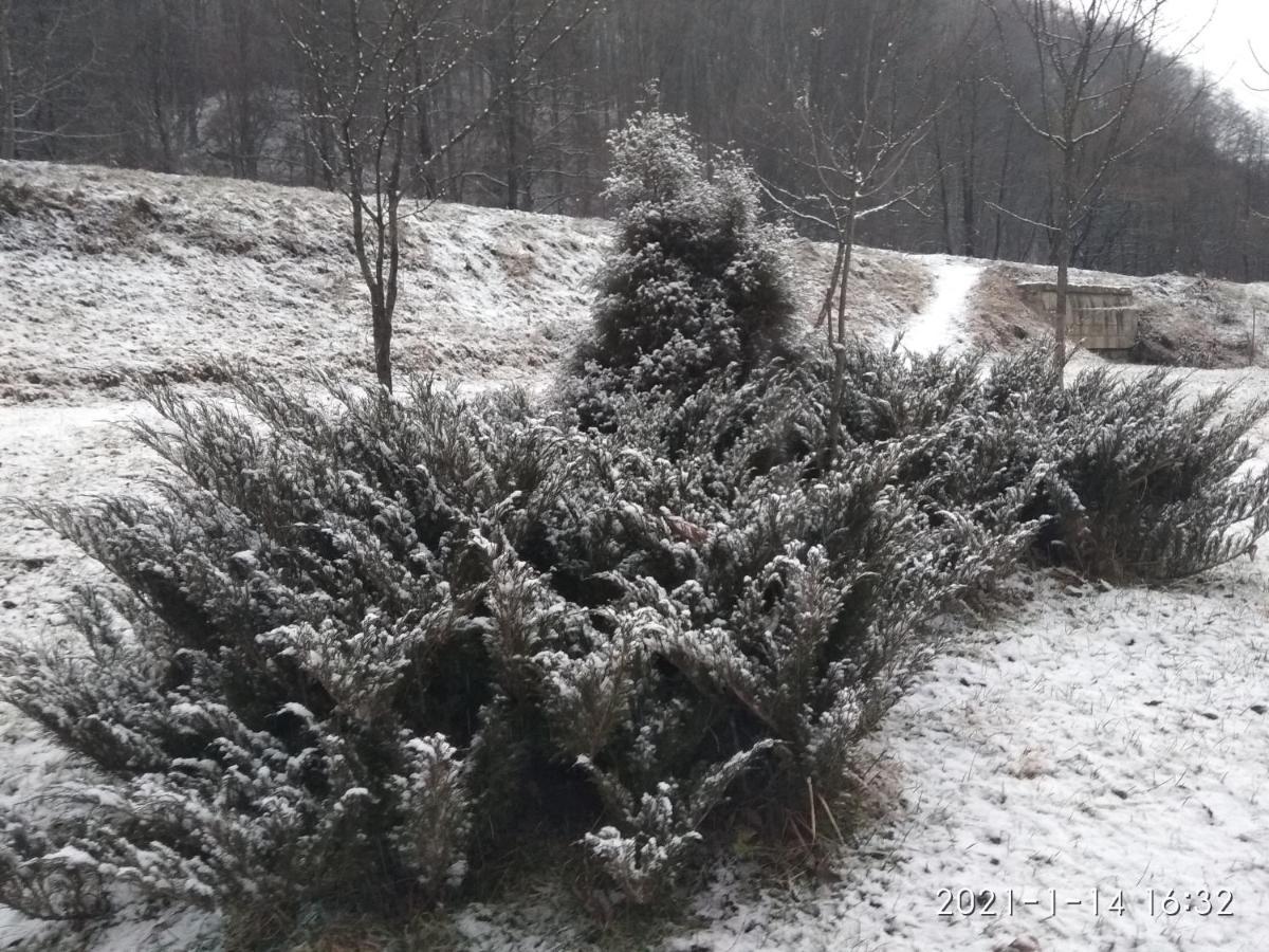 Gorec Jaremtsje Buitenkant foto
